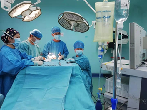 焦主任手术团队在为病人手术中.jpg 焦主任手术团队在为病人手术中.jpg