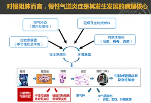 1621989903(1).jpg 1621989903(1).jpg