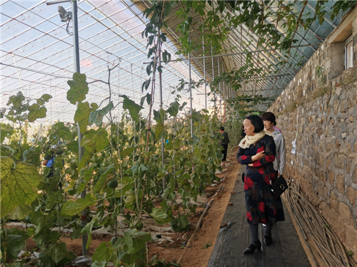 特殊家庭联谊�?_副本.jpg 特殊家庭联谊�?_副本.jpg